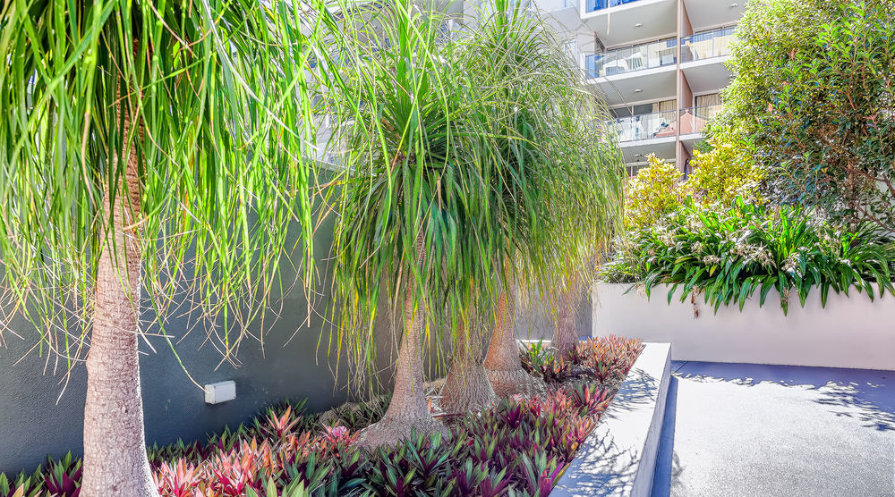 Trilogy Residences Brisbane Esterno foto